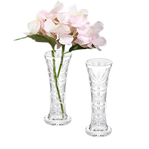 Clear Plastic Acrylic Vase Esmiome - Bud Vase 2pcs
