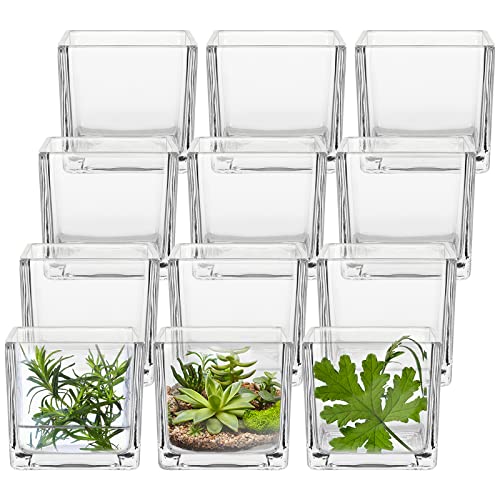 Clear Square Glass Vases