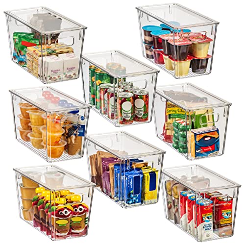 ClearSpace Plastic Storage Bins with Lids