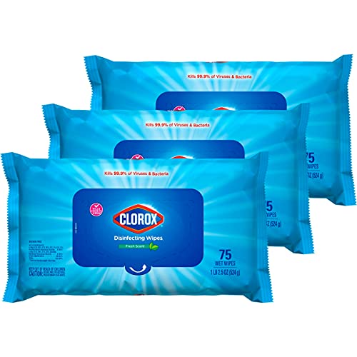 Clorox Disinfecting Wipes, Multi-Surface Cleaning Wipes