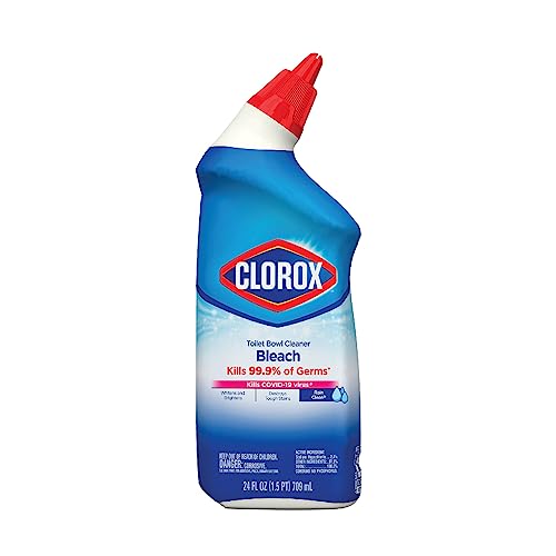 Clorox Toilet Bowl Cleaner - Rain Clean