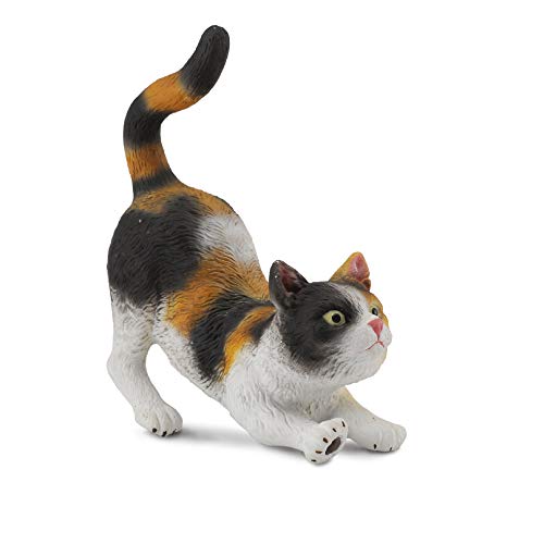 Collecta 3-Color House Cat
