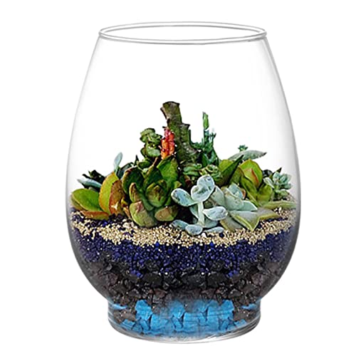 Coloch 4 Pack Clear Glass Fish Bowl Vase Terrarium Vase