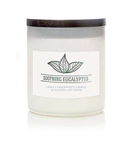 Colonial Candle Soothing Eucalyptus Scented Jar Candle