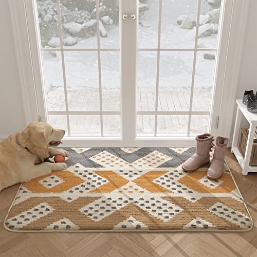 Color G Door Mats: Stylish and Functional Entryway Rugs