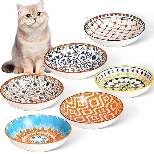 Colorful Cat Food Bowls Set for Happy Felines
