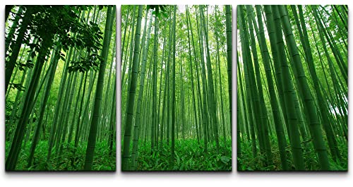 Colorful Green Bamboo Stalks Nature Canvas Art Set
