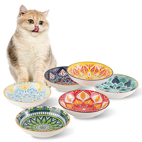 Colorful Shallow Cat Food Bowl Set - Ceramic - 8 oz