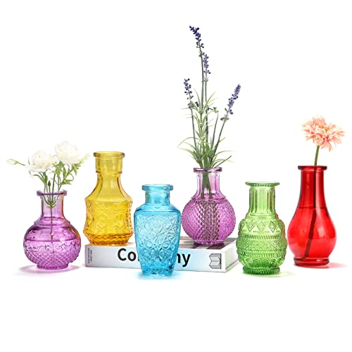 Colorful Vintage Styles Small Flower Vases Set of 6