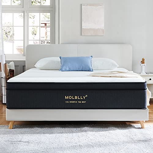 Comfortable and Supportive Queen Mattress with Gel Memory Foam and Pocket Coils