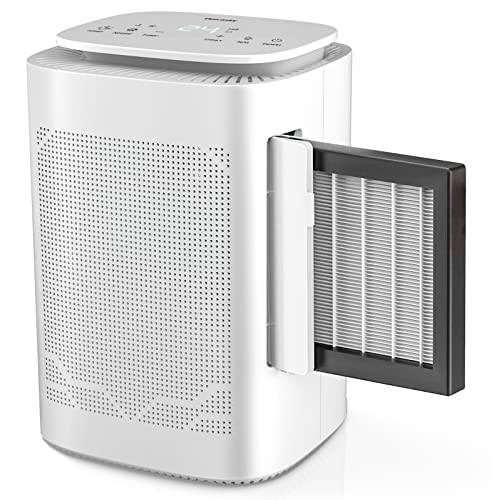 Compact Dehumidifier and Air Purifier Combo with Negative Air Ion