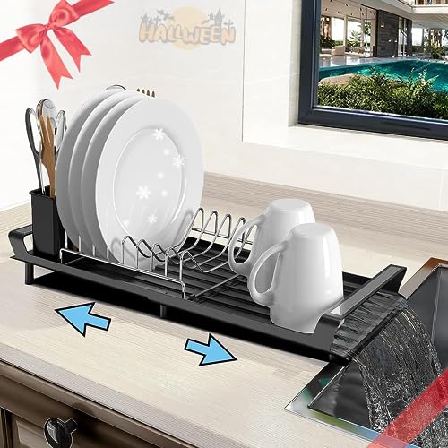 Compact Dish Rack for Kitchen Counter