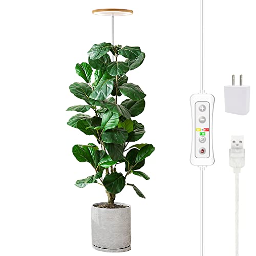 Compact LED Growing Light for Indoor Plants