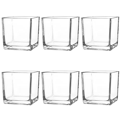 Comrzor Set of 6 Square Glass Vases