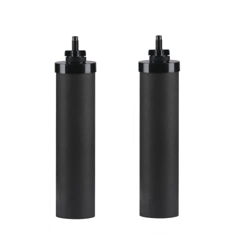 Cost-Effective Water Filter Replacement for Berkey Filters