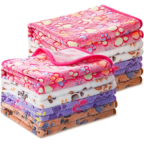 Cozy and Cute Dog Blankets for Small and Medium Pets