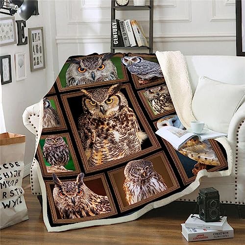 Cozy and Stylish: Owls Gifts for Women Men, Owl Decor Blanket