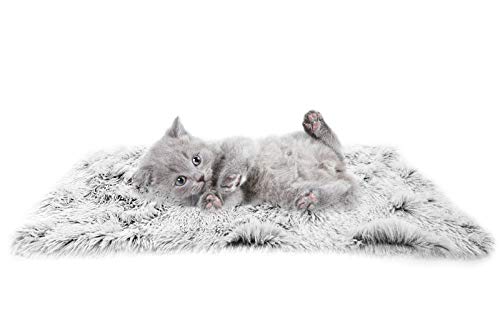 Cozy and Versatile PJYuCien Fluffy Fleece Cat Dog Blanket