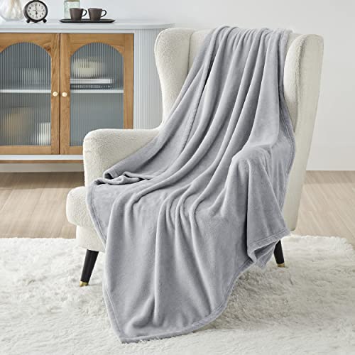 Cozy Microfiber Blanket