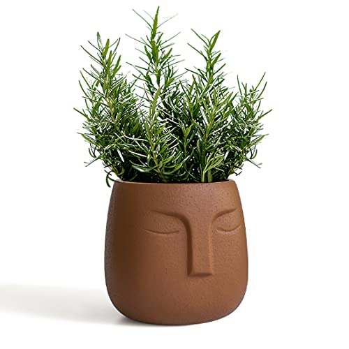 Creative Succulent Head Planter with Drainage Hole