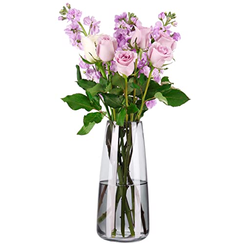CUCUMI Flower Glass Vases