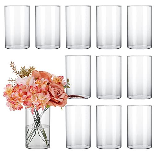 CUCUMI Glass Cylinder Vases for Centerpieces