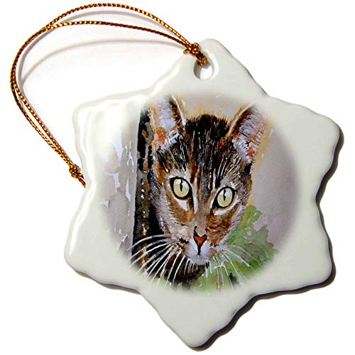 Curious Tabby Cat Snowflake Porcelain Ornament