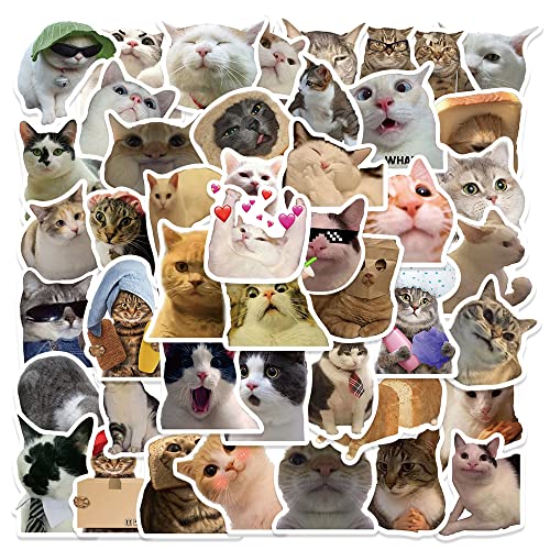 Cute Cat Stickers Pack for Cat Lovers