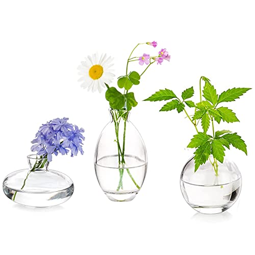 Cute Clear Small Vases - Handmade Glass Flower Vase Set