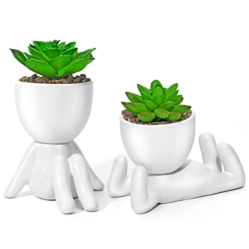 Cute Fake Succulents Plants for Office and Home Decor