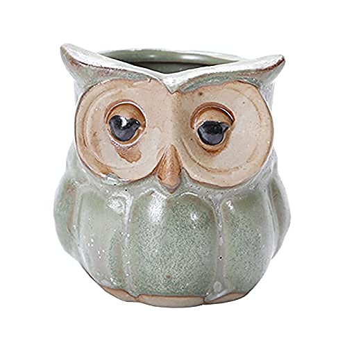Cute Owl Shape Flowerpot: Decorate Your Space with Charm