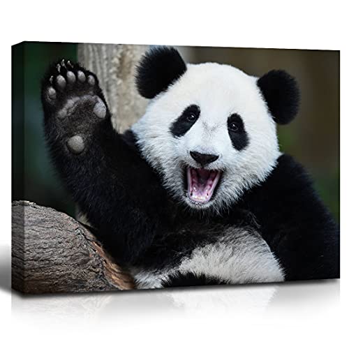 Cute Panda Canvas Wall Art