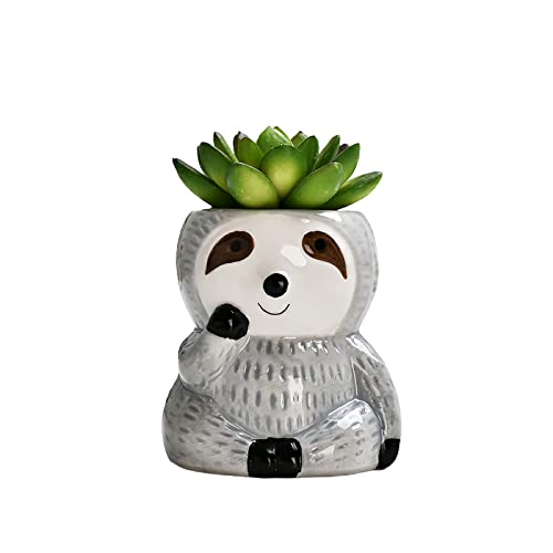 Cute Sloth Ceramic Succulent Cactus Flower Plant Pot (3.14 Inchs Tall)
