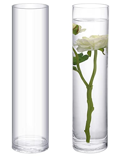 Cylinder Glass Vase Floral Container Clear Floor Flower Vase