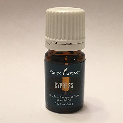 Cypress Essential Oil 5ml by Young Living Essential Oils