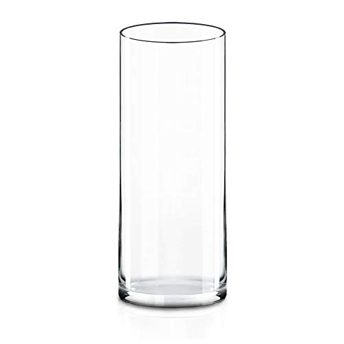 CYS EXCEL Clear Glass Cylinder Vase