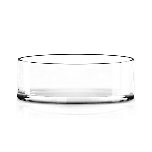 CYS EXCEL Clear Glass Vase