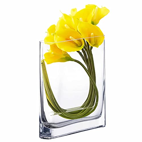 CYS EXCEL Glass Book Vase