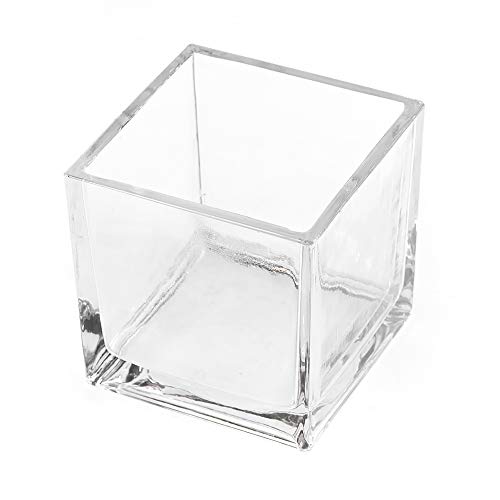 CYS EXCEL Glass Cube Vase