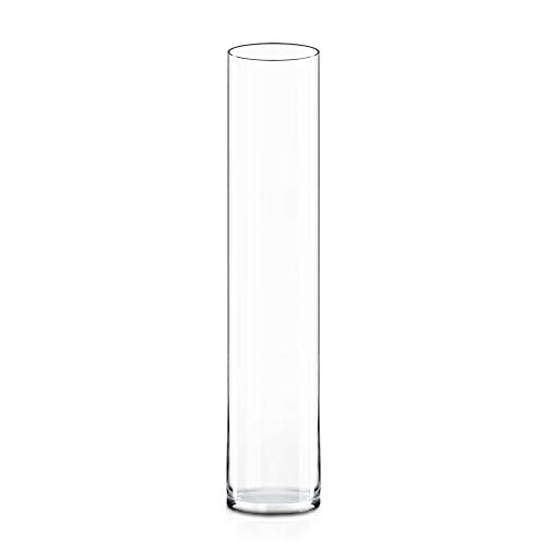 CYS Excel Glass Cylinder Vase