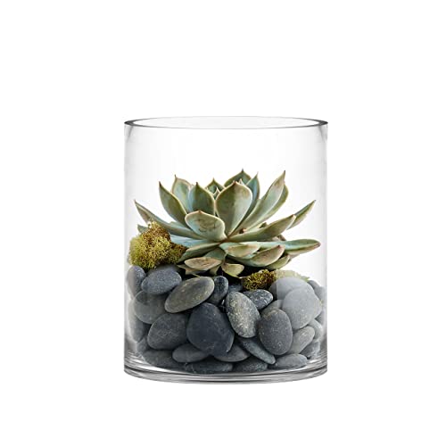 CYS Excel Glass Cylinder Vase