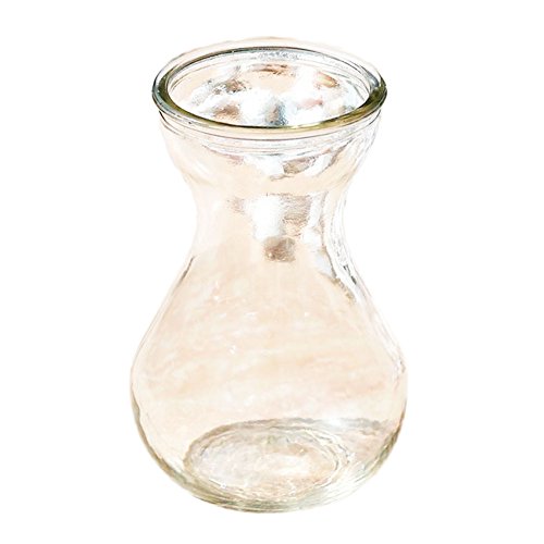 Daliuing Hyacinth Vase Home Decoration Farm Plants Simple and Beautiful Glass Bottles