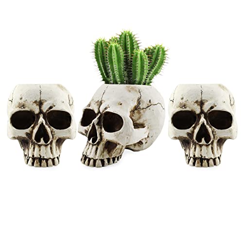 Darware Skull Mini Planter Vases: Scary Home Decor