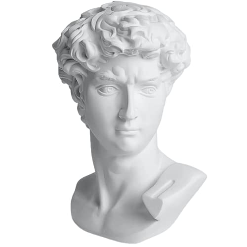 David Bust Greek Roman Statues Sculptures for Home Decor