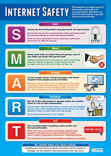 Daydream Education Internet Safety Poster - Gloss Paper - LARGE FORMAT 33” x 23.5” - Technology and Computing Classroom Decoration - Bulletin Banner Charts