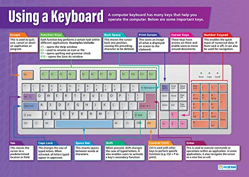 Daydream Education Using a Keyboard Poster - Gloss Paper - LARGE FORMAT 33” x 23.5” - Technology and Computing Classroom Decoration - Bulletin Banner Charts