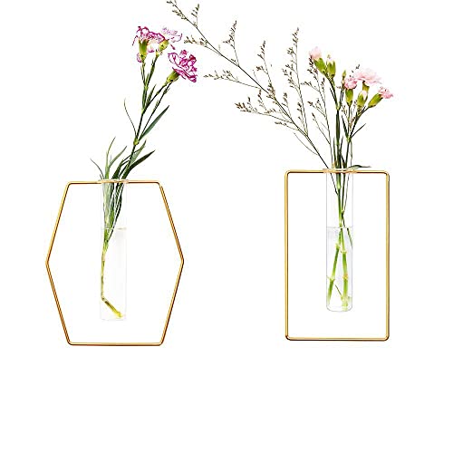 Decorative Hanging Flower Vases with Gold Metal Frames