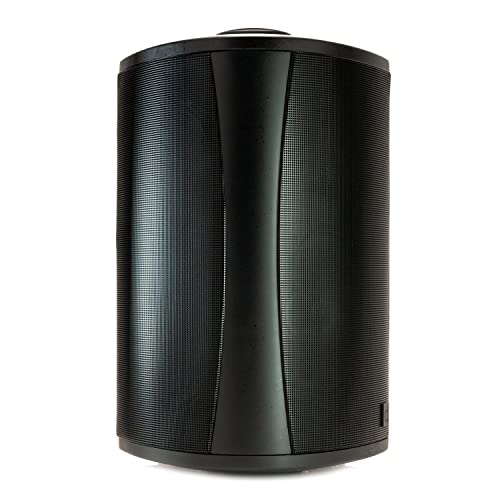 Definitive Technology AW5500 Outdoor Speaker