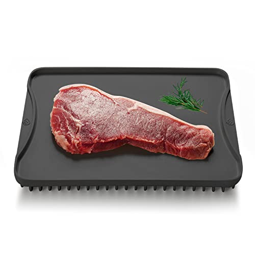 Defze Aluminum Alloy Defrosting Tray for Thawing Frozen Meat