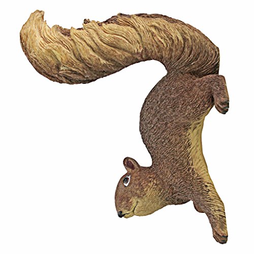 Design Toscano NG34034 Simone The Squirrel Woodland Decor Hanging Garden Statue